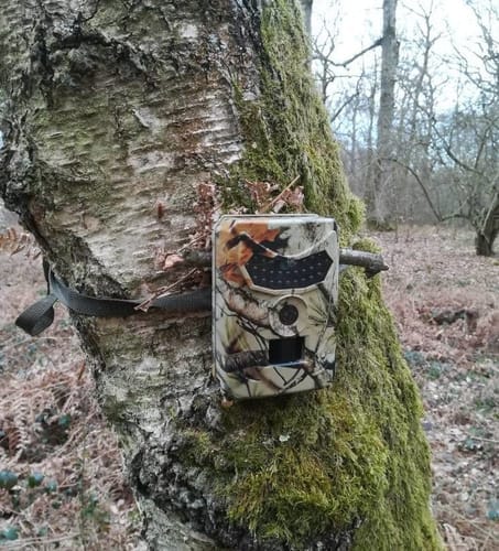 Customer photo review of Camera de chasse Vision Nocturne - Nature & Chasse®