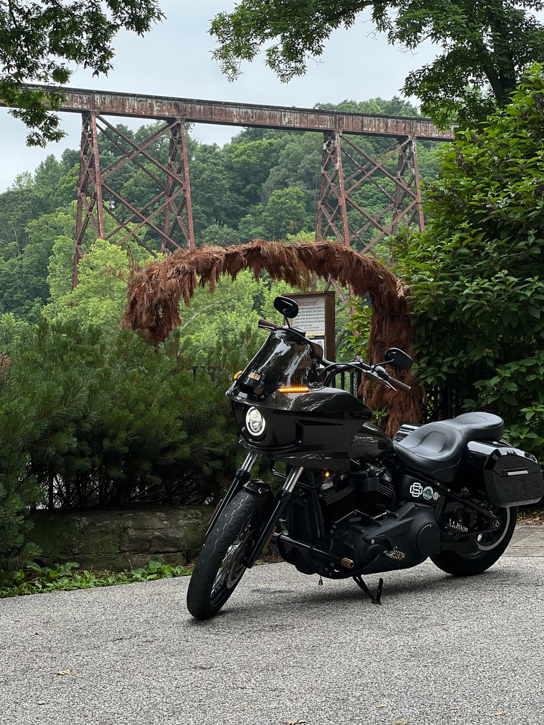 Customer photo review of 32L - Darkin Large Quick Mount Painted Hard Saddlebags for Harley Softail Street Bob FXBB