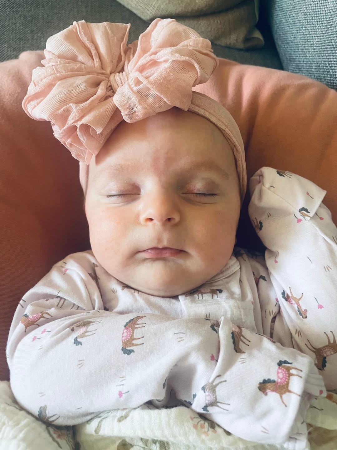 Customer photo review of Neutral Headband 3 pack set