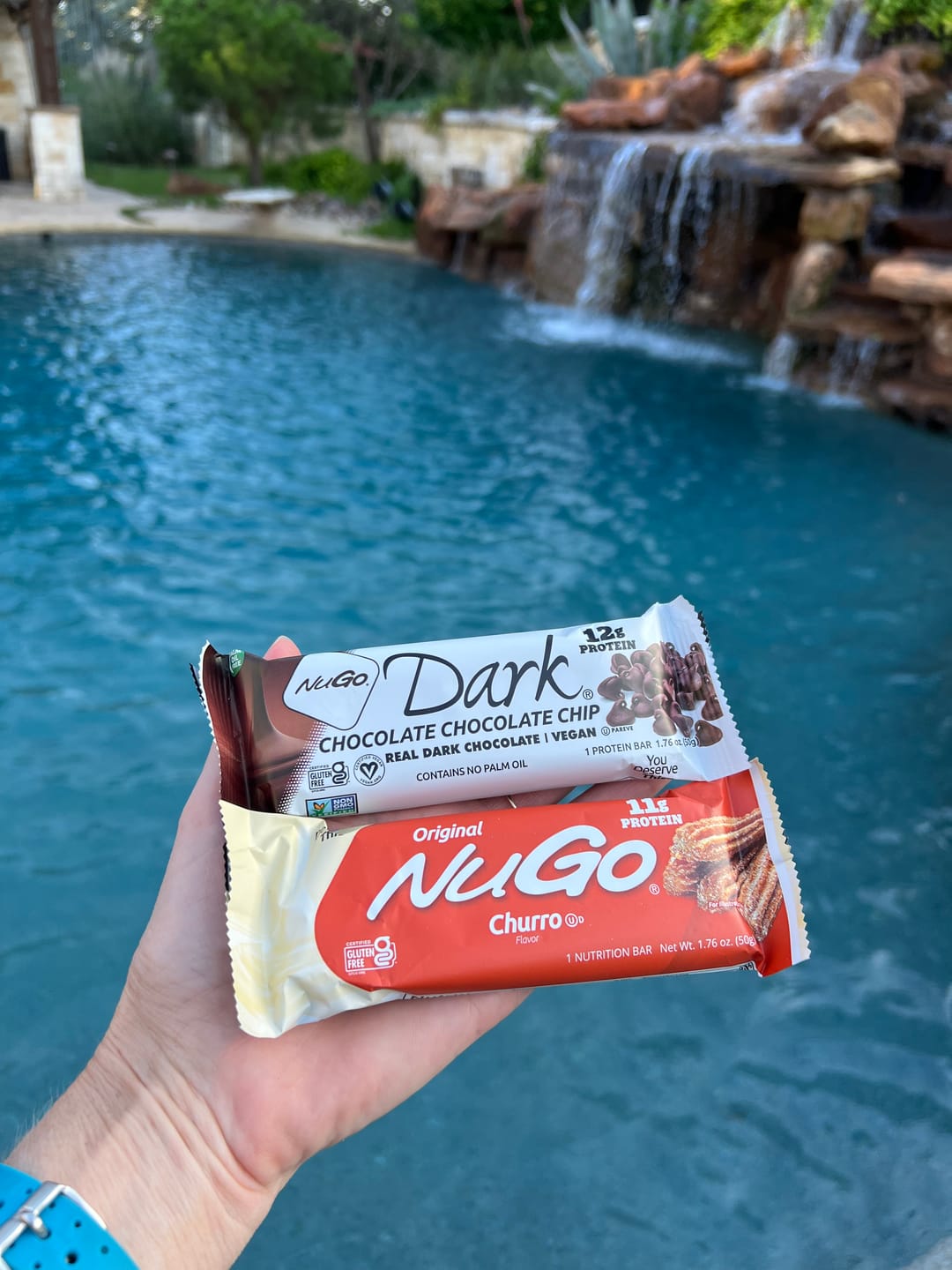 Customer photo review of Chocolate Chocolate Chip
