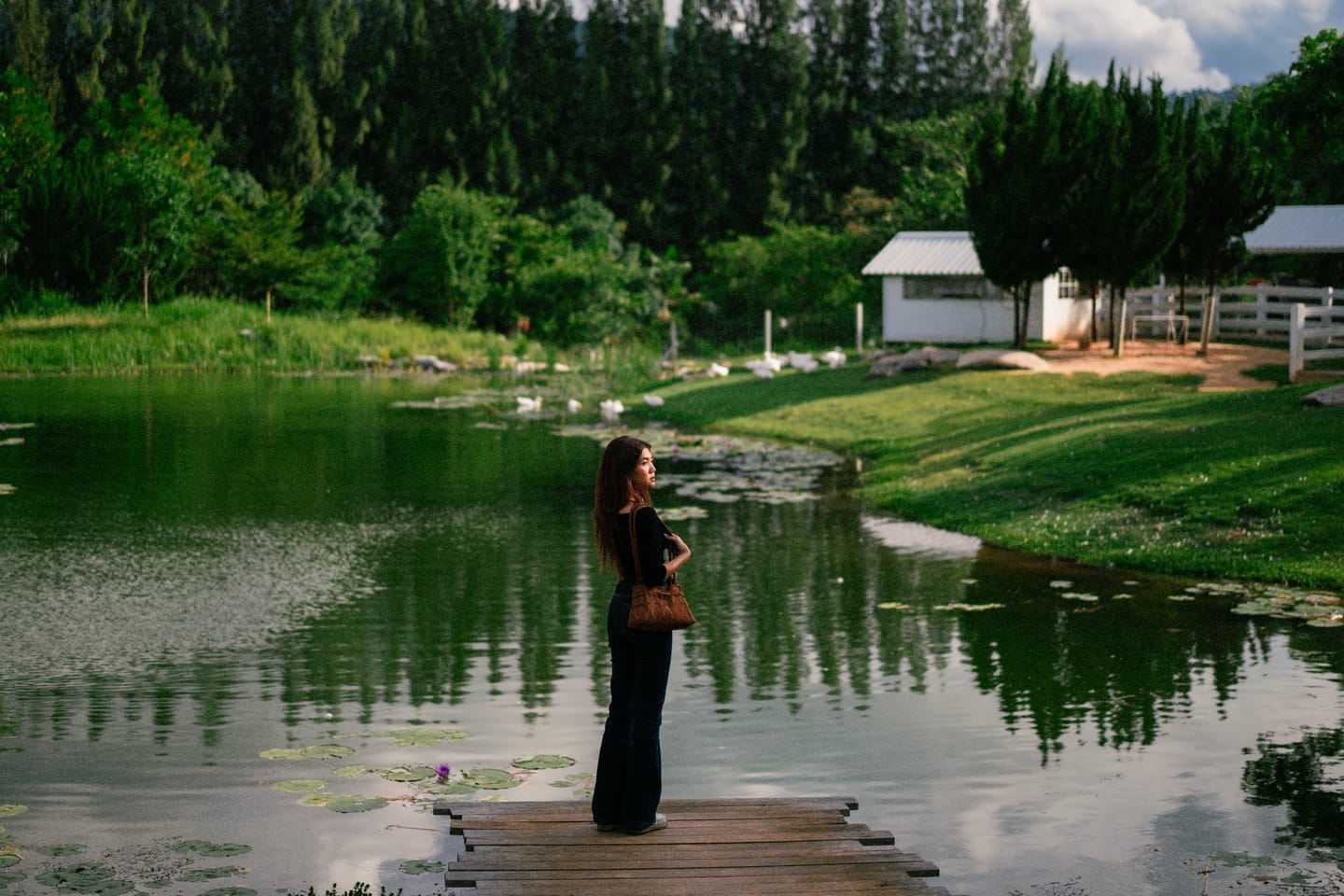 Customer photo review of Film Simulation Presets (Digital Download)