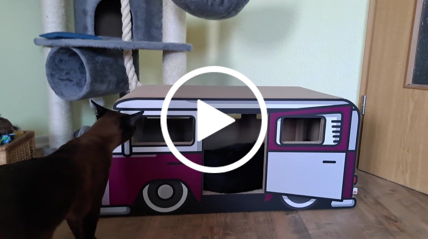 Customer video review of KratzCamper XXL