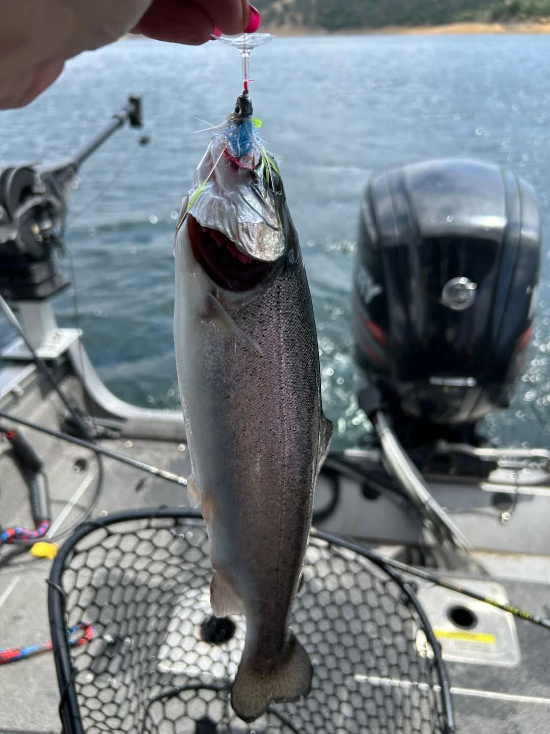 Customer photo review of Turbo Flasher
