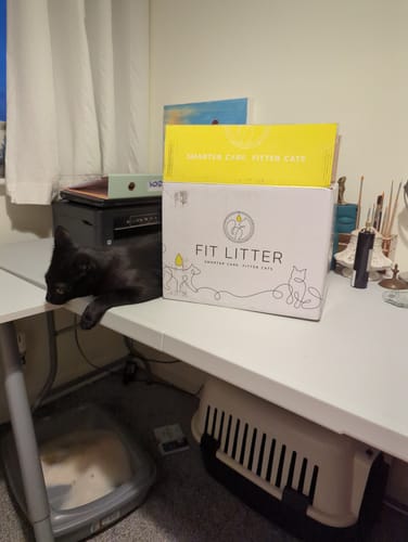 Customer photo review of 1 Month Supply – 2 Cat