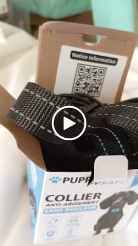 Customer video review of Collier Anti Aboiement PuppySafe