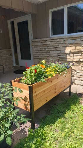 Customer photo review of 18" x 60" Raised Garden Bed - 30" TALL
