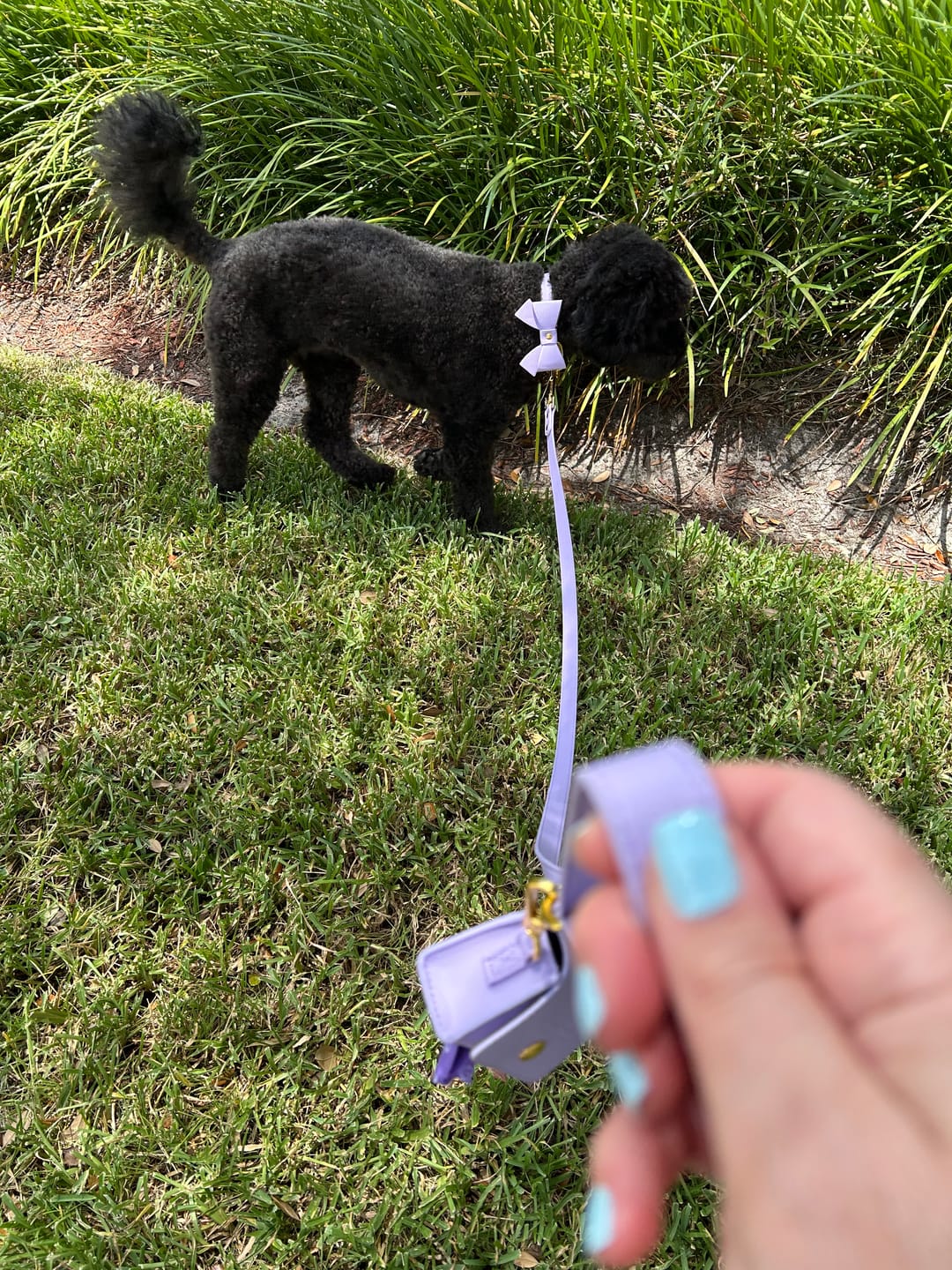 Customer photo review of Vegan Leather Walking Bundle