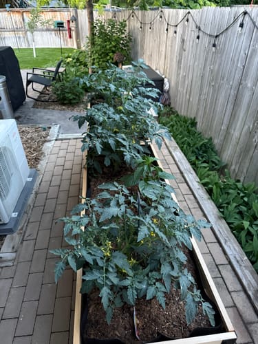 Customer photo review of 18" x 48" Raised Garden Bed - 30" TALL