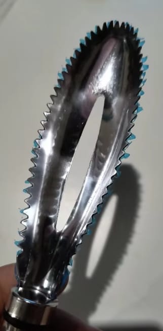 Customer photo review of Easy Fish Scales Scraper