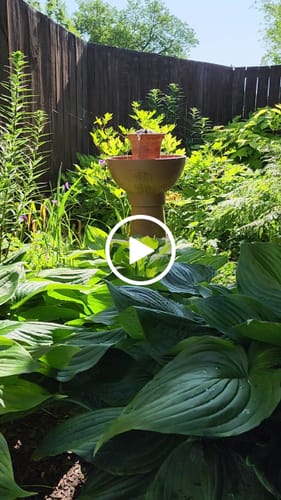 Customer video review of Lecce Cordless Fountain