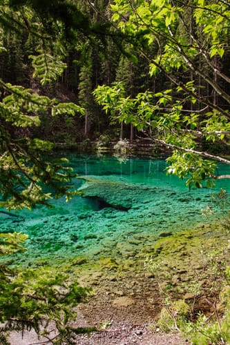 Customer photo review of HIKING LIGHTROOM PRESETS