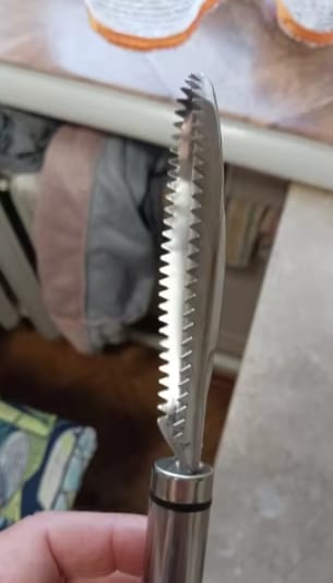 Customer photo review of Easy Fish Scales Scraper