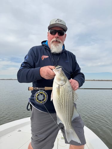 Customer photo review of Iconic Fly Reel, 7 Plus