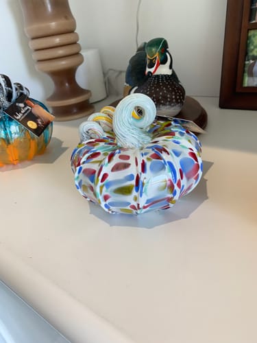 Customer photo review of Daily Pumpkin 353 Squat