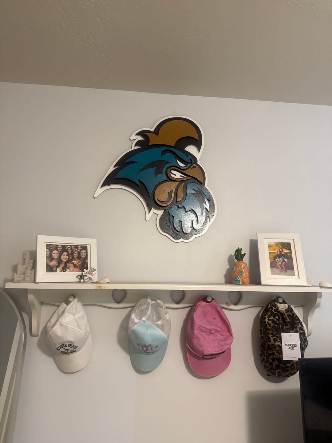 Customer photo review of Coastal Carolina Chanticleers 3D Vintage Metal Wall Art