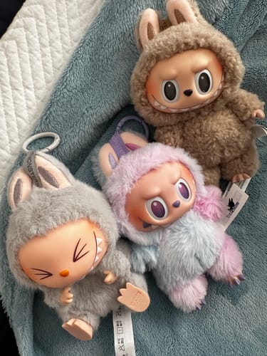 Customer photo review of Pop Mart Labubu The Monsters Tasty Macarons Vinyl Plush Pendant Single Blind Box