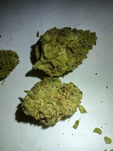Customer photo review of Cherry AK