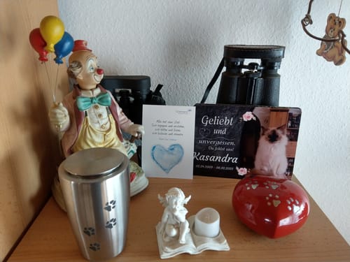 Customer photo review of Hunde Gedenktafel mit Foto & Spruch (UV- & Wetterfest)