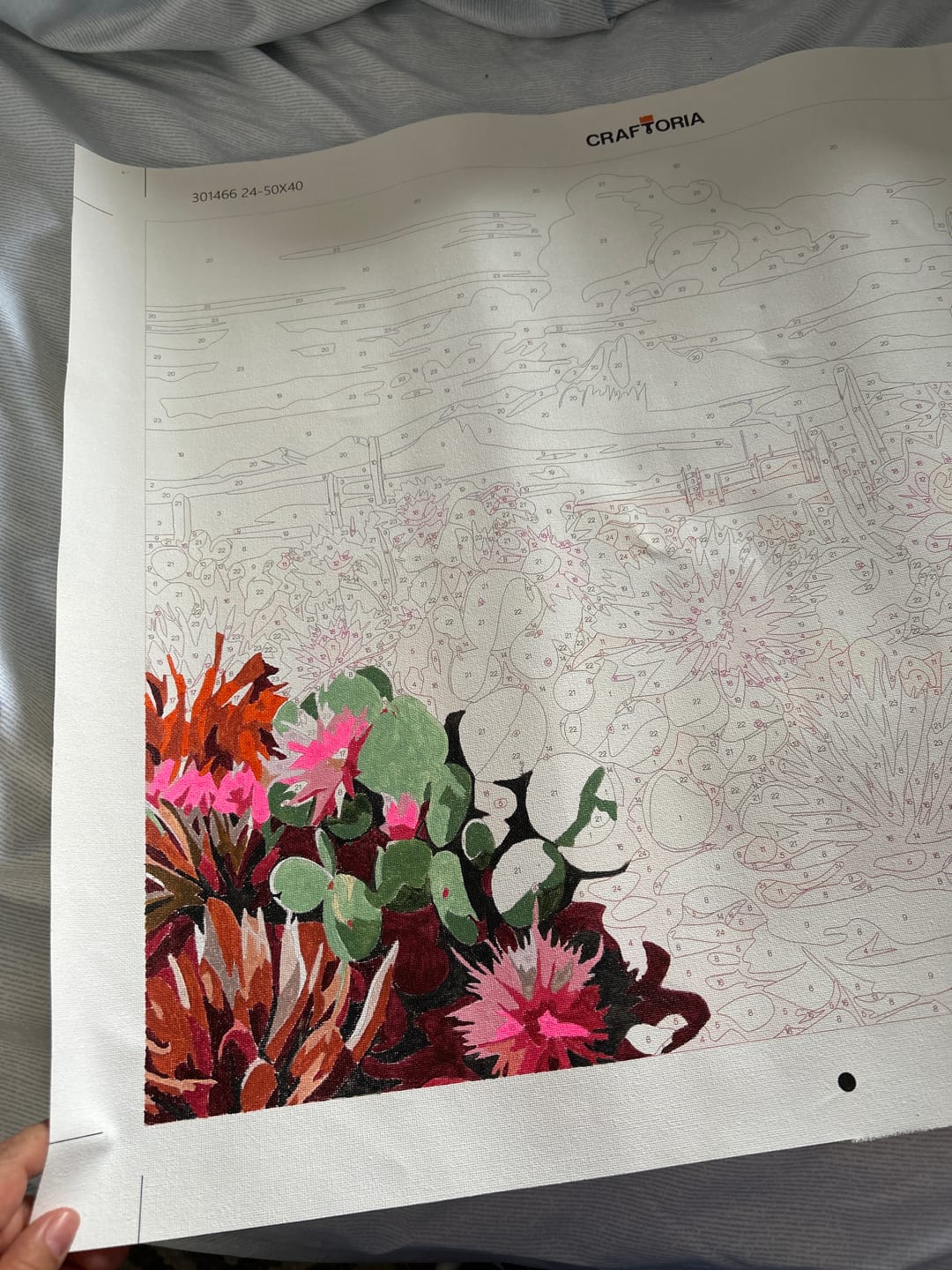 Customer photo review of Cactus Kit