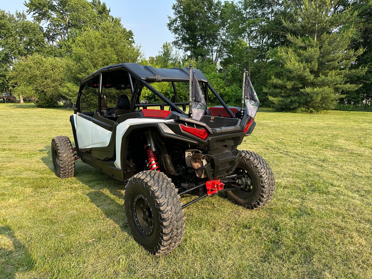 Customer photo review of OG PRO WHIPS
