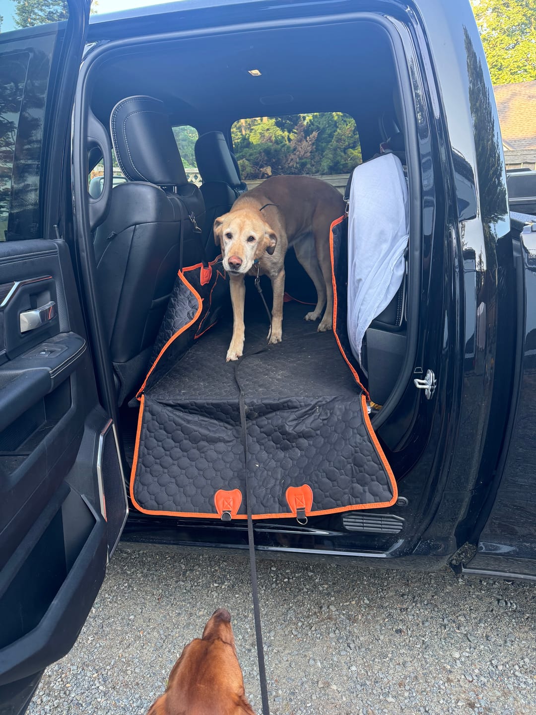 Customer photo review of FurGuard™: Hard Bottom Extender
