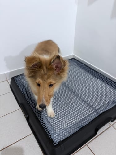 Customer photo review of Weasy Bag