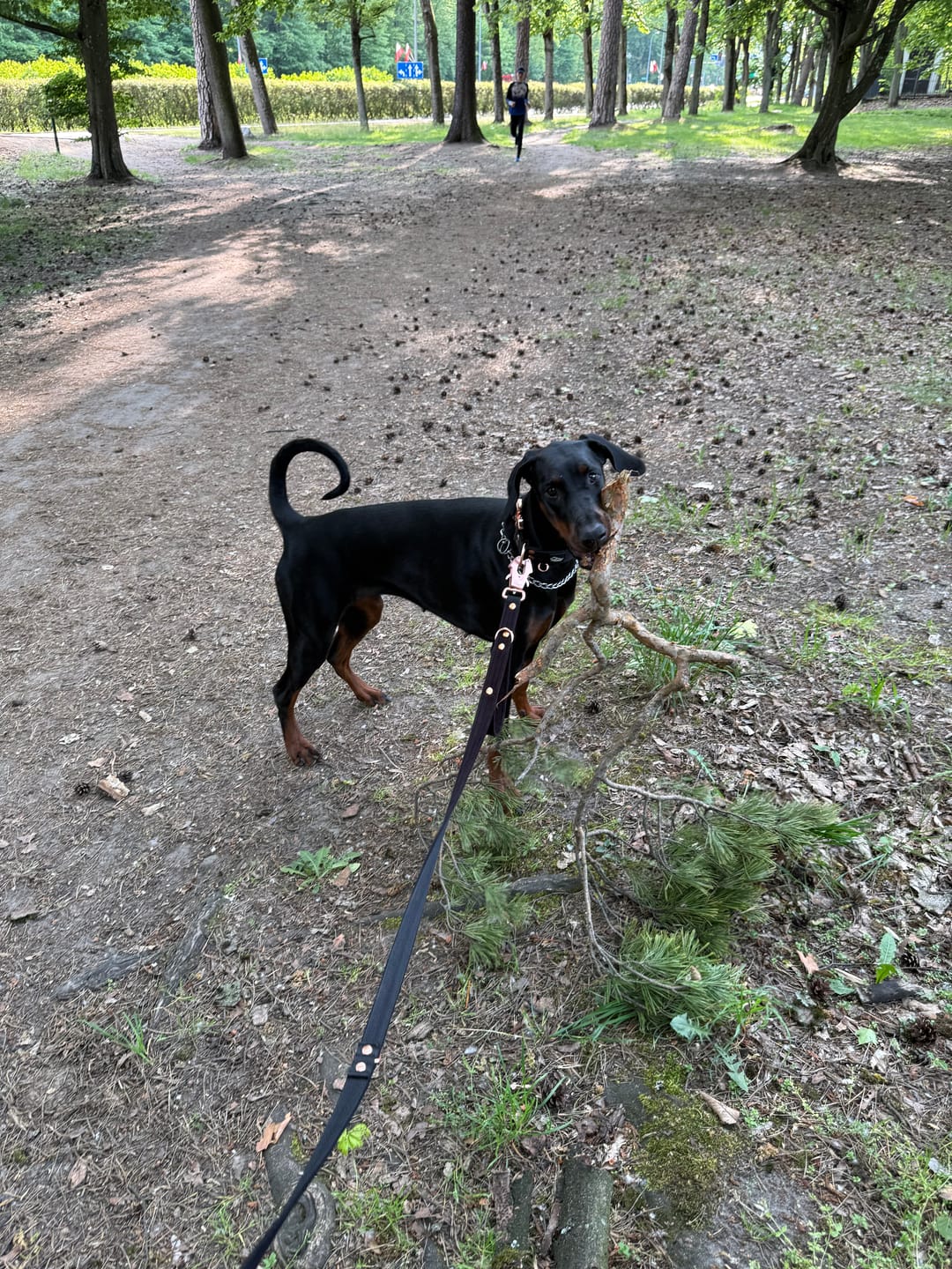 Customer photo review of Smycz przepinana z dodatkową raczką - Multi Guard Leash Rose Edition Czarna
