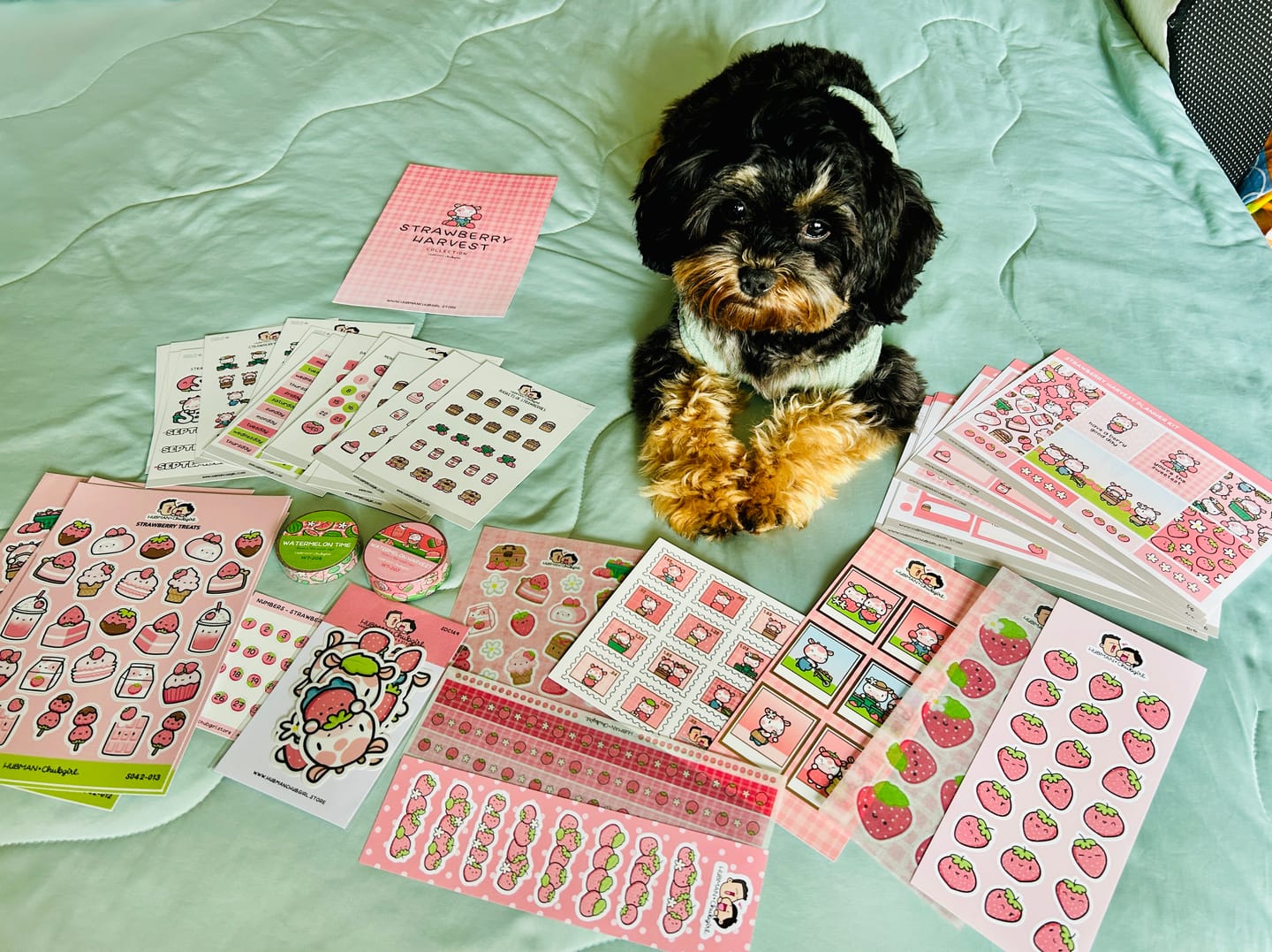 Customer photo review of Strawberry Harvest Bundle
