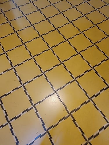 Customer photo review of Fregasuelos - 30 Eco-Tiras