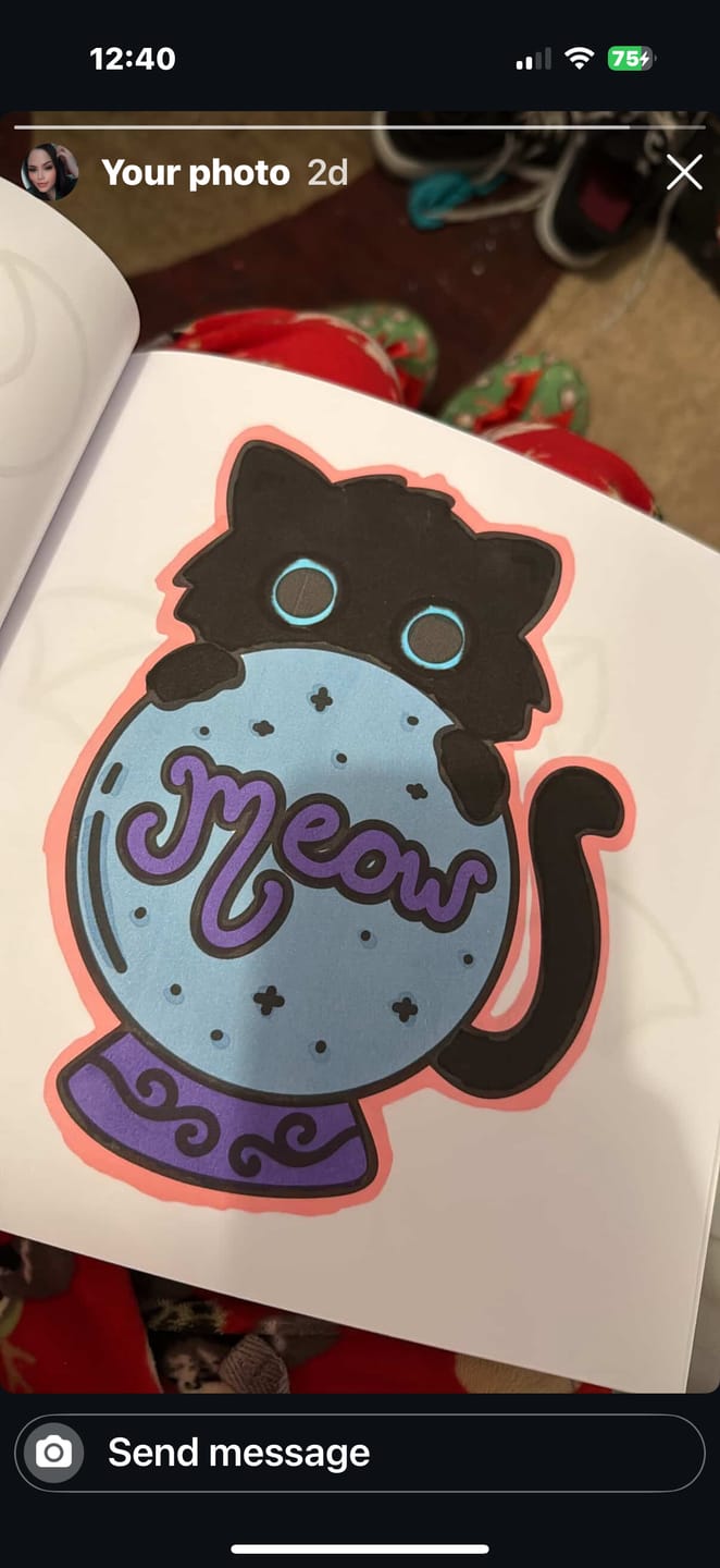 Customer photo review of 8-Pack Mystery Pallette of Ohuhu Alcohol Markers with Brush Tips + Wook Books Holographic Marker Bag