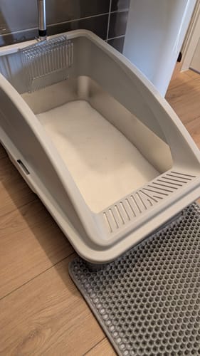 Customer photo review of 3 Month Supply - 1 Cat