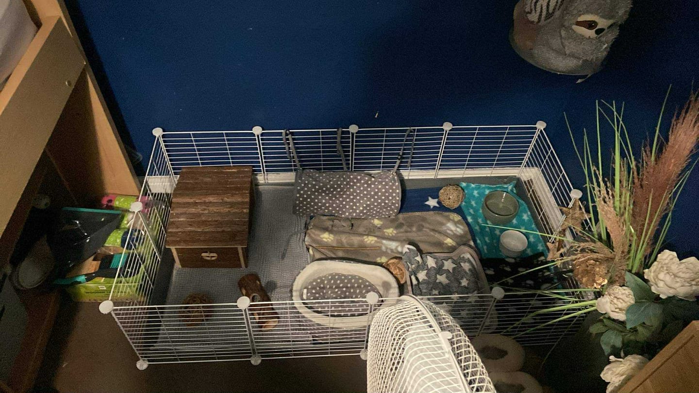 Customer photo review of 4x2 C&C Cage