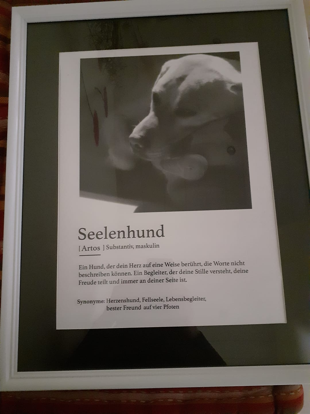 Customer photo review of Definition Seelentier - Individuelles Poster
