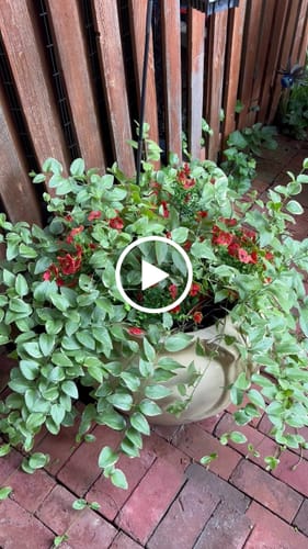 Customer video review of Clearance Bulk 12 Bundles Artificial Plants Flowers UV Resistant for Outdoors Planter Porch Patio Garden Wholesale