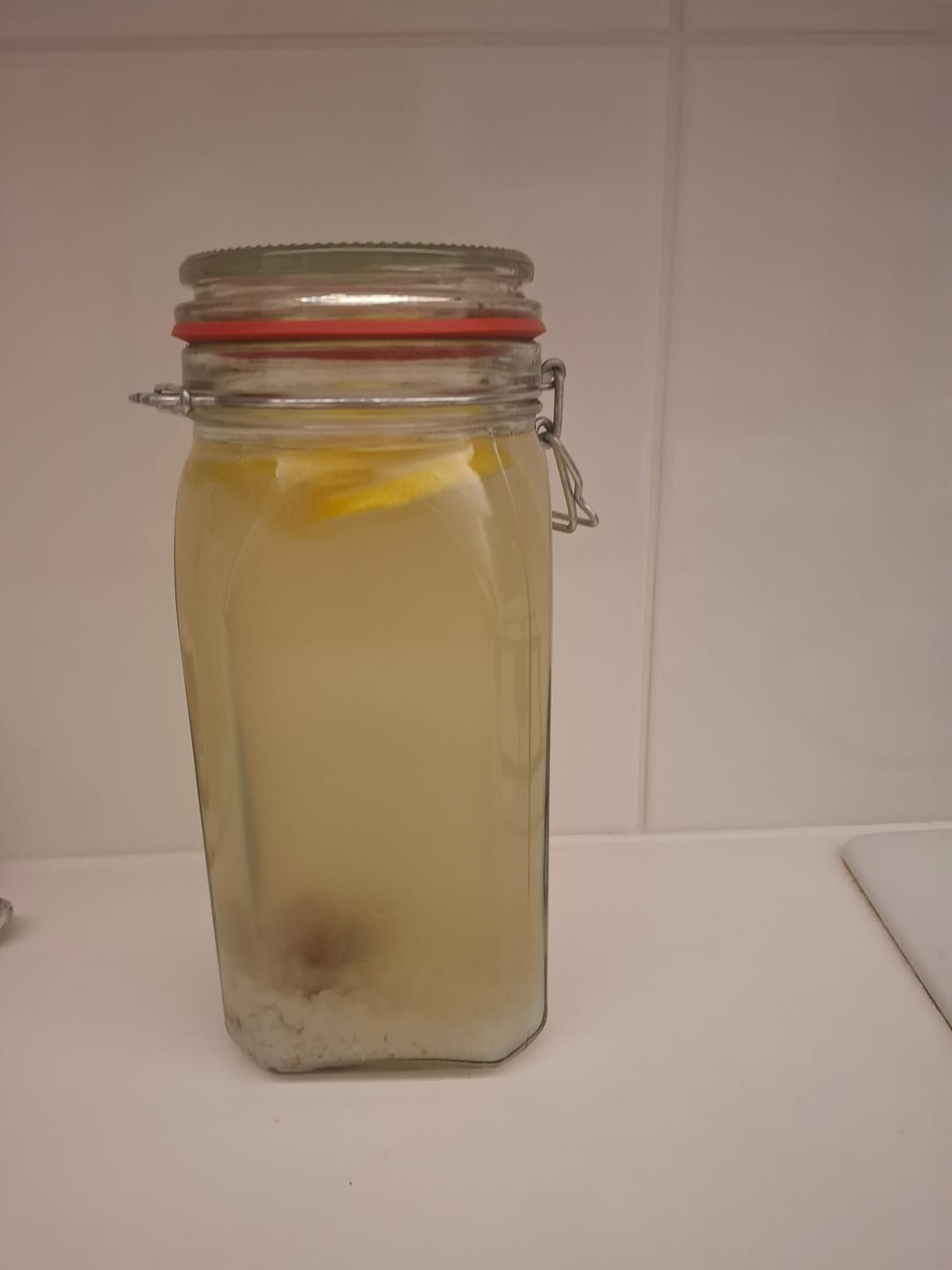 Customer photo review of BIO Wasserkefir-Erlebnisset: Kristalle & Komplettzubehör für Einsteiger