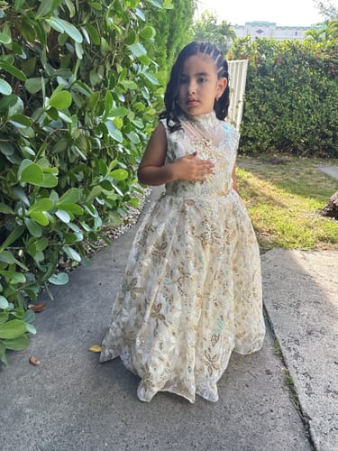 Customer photo review of Cute  Baby Girl Sequins Pageant Dress Toddler Birthday Party Ball Gown