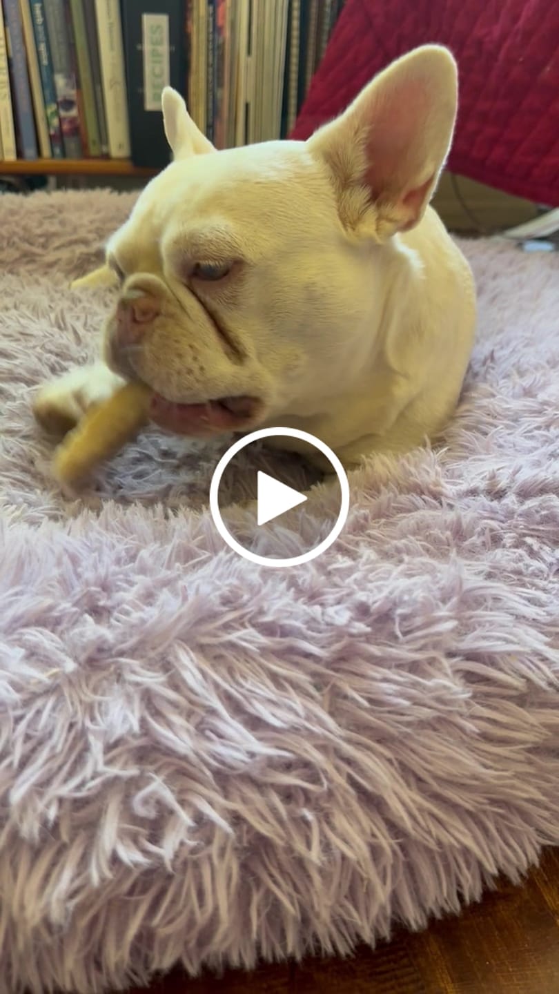 Customer video review of Coconut Yak Chews