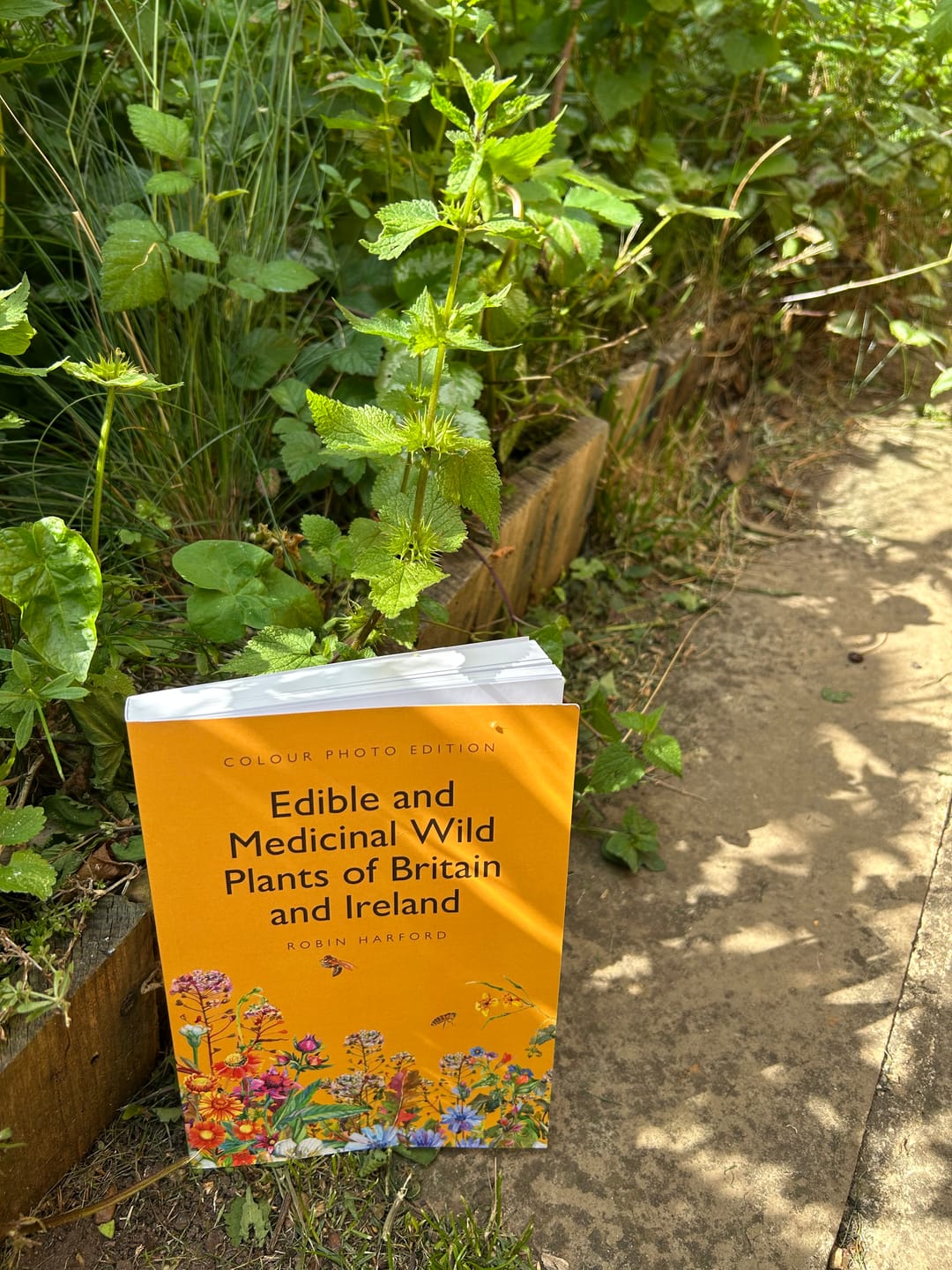 Customer photo review of Edible and Medicinal Wild Plants of Britain and Ireland