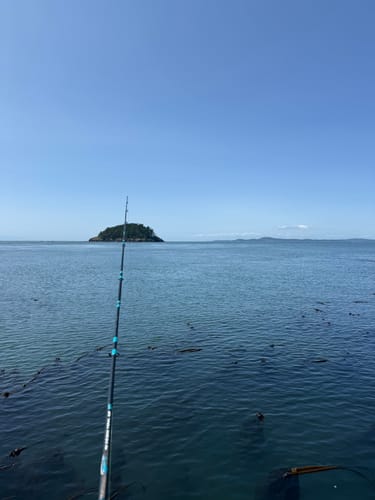 Customer photo review of 8Ft No Excuses Travel Rod with Tube Medium-Heavy Action 1/2oz to 2oz