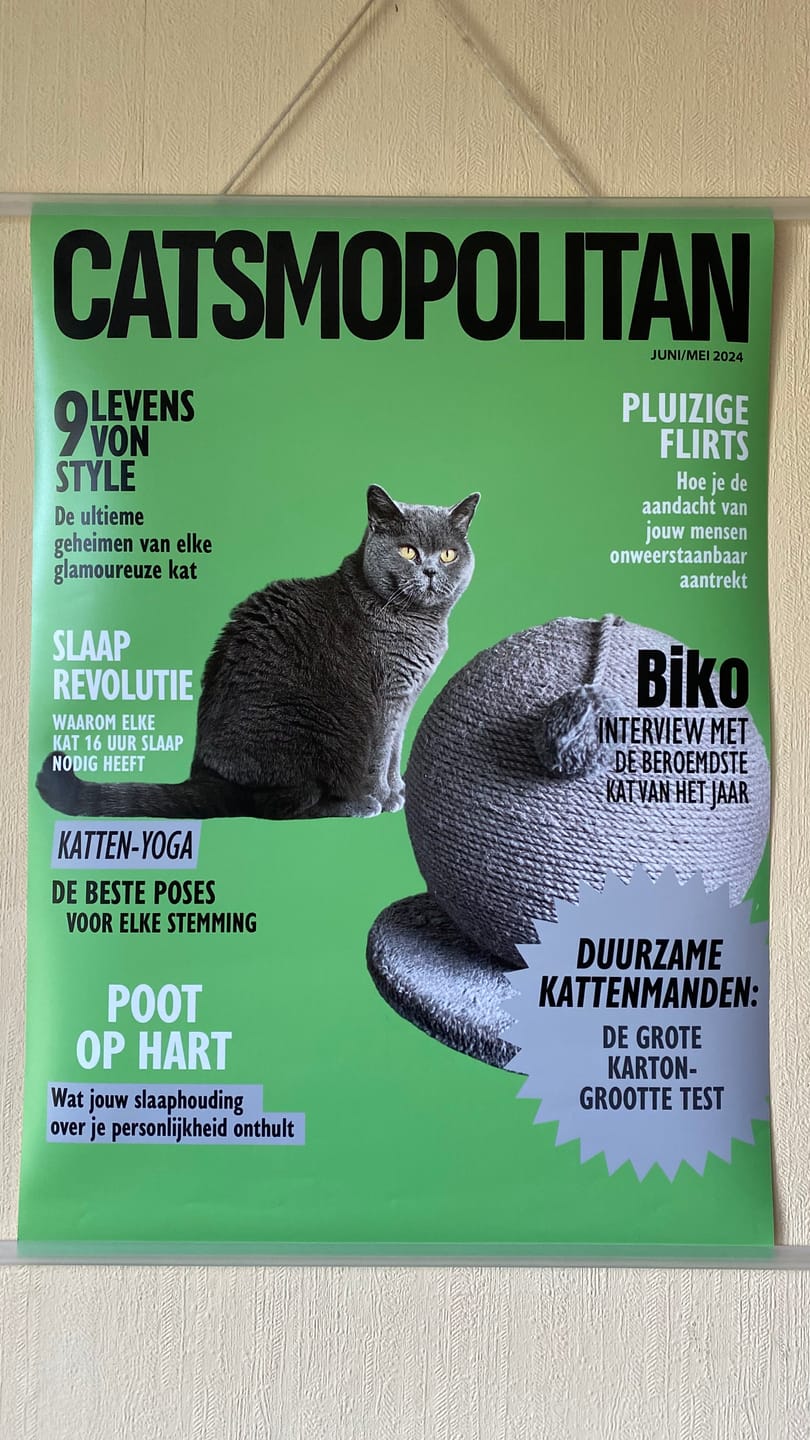 Customer photo review of Catsmopolitan - Gepersonaliseerde Poster