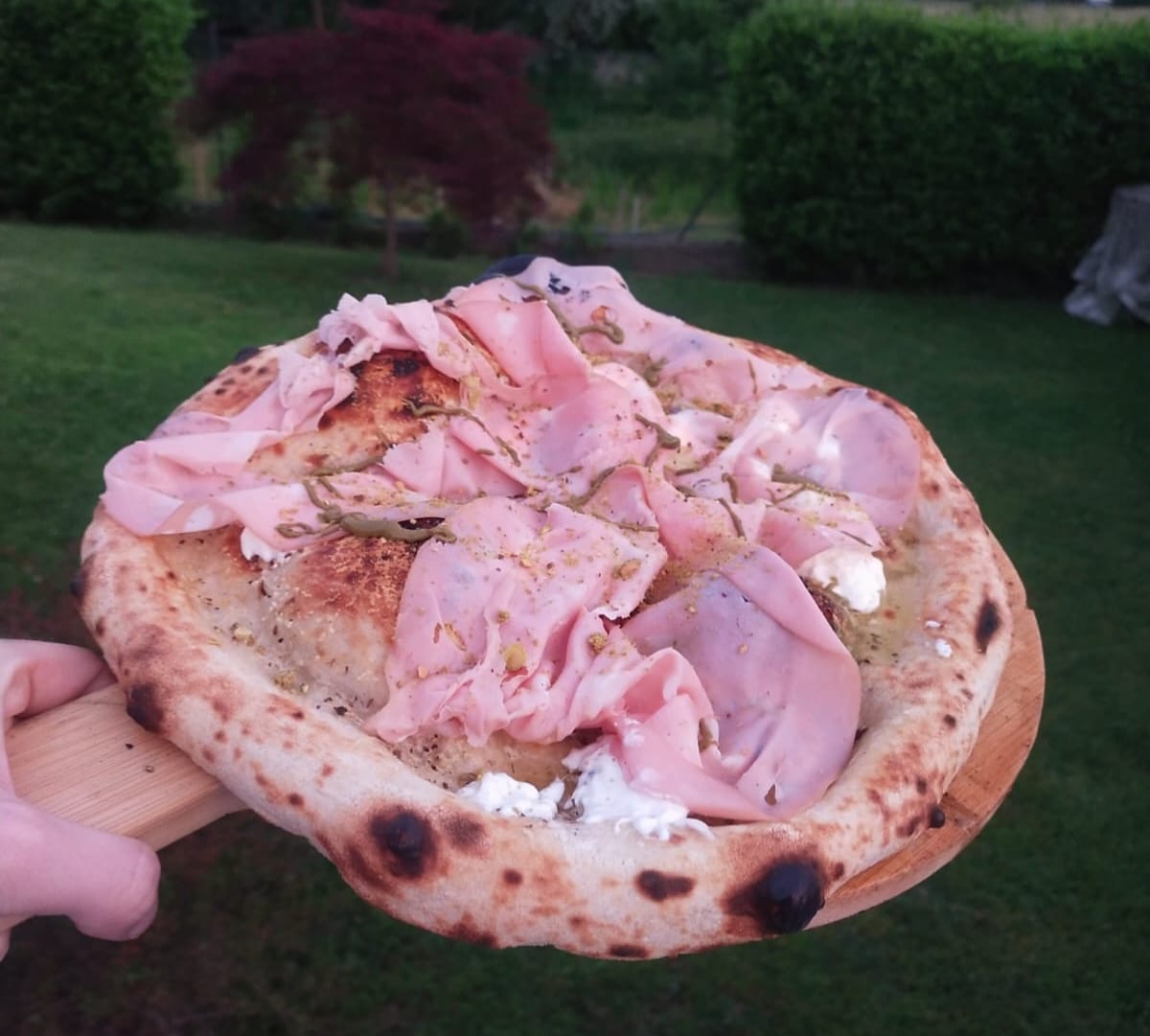 Customer photo review of Macte Ovens Nettuno | Forno elettrico per pizza e pane
