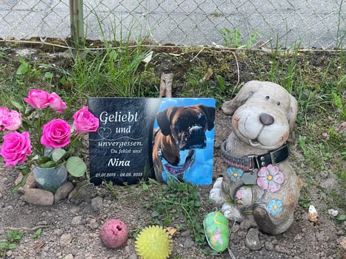 Customer photo review of Hunde Gedenktafel mit Foto & Spruch (UV- & Wetterfest)