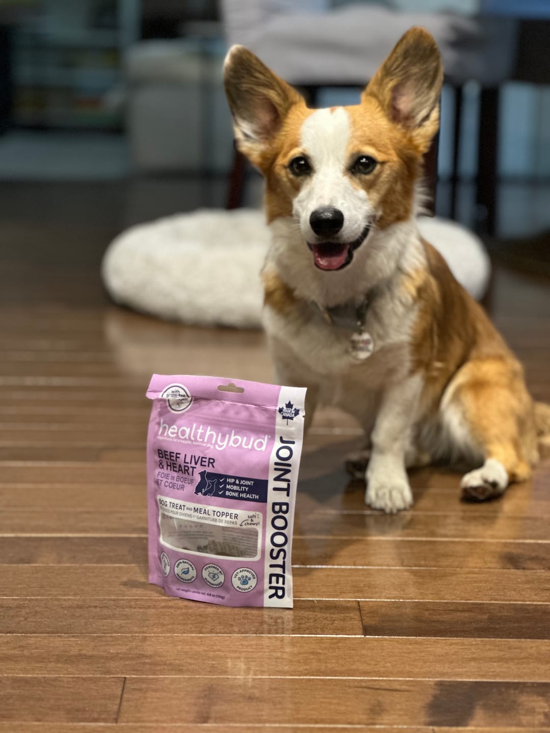 Customer photo review of Beef Joint Booster