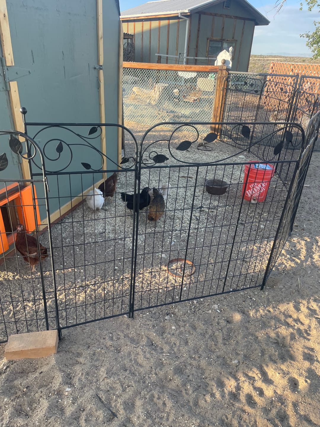 Customer photo review of Solar Automatic Chicken Coop Door