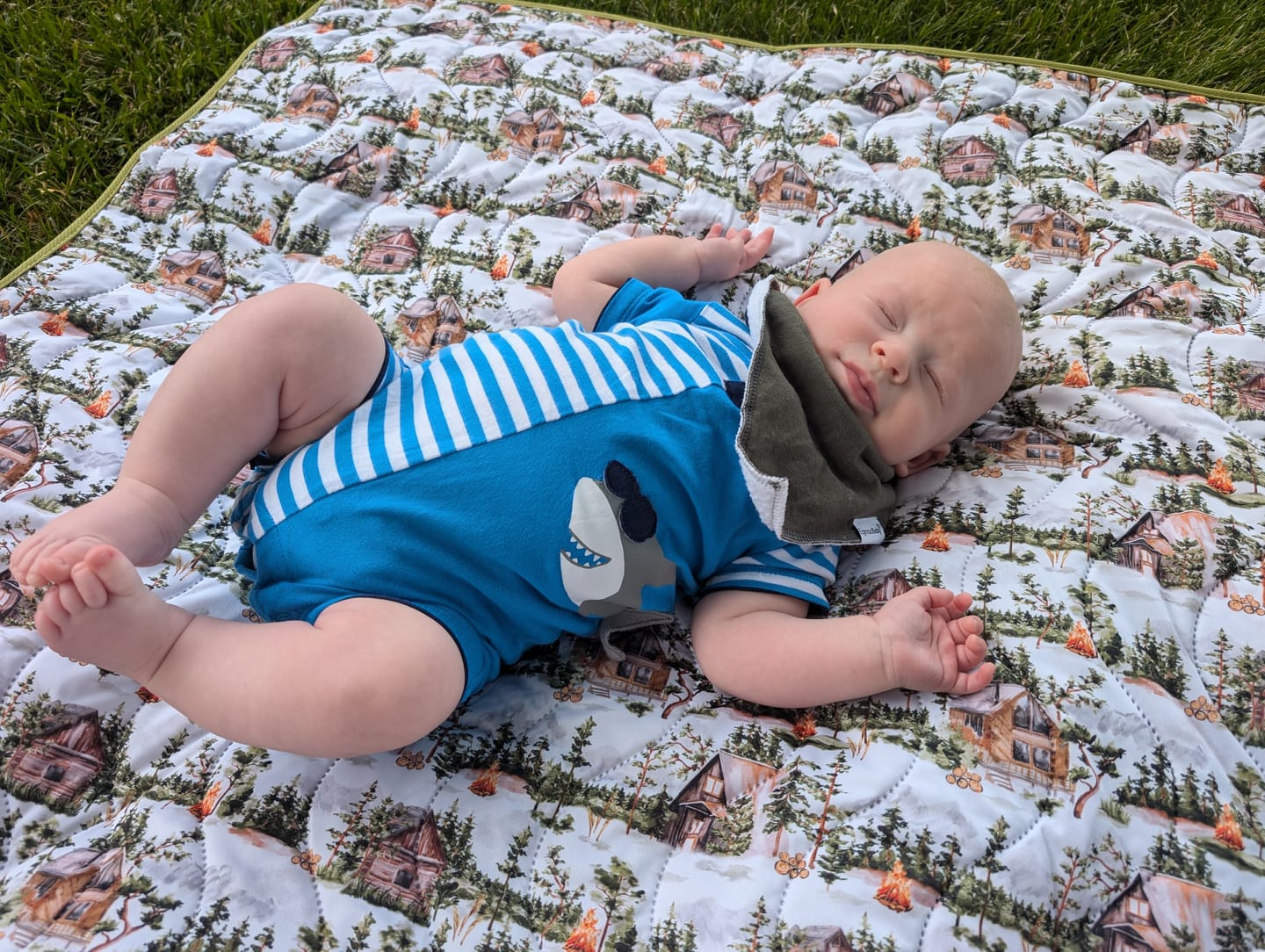 Customer photo review of Anywhere Adventure Play Mat, Featuring Quilted Wipeable Machine Washable Fabric