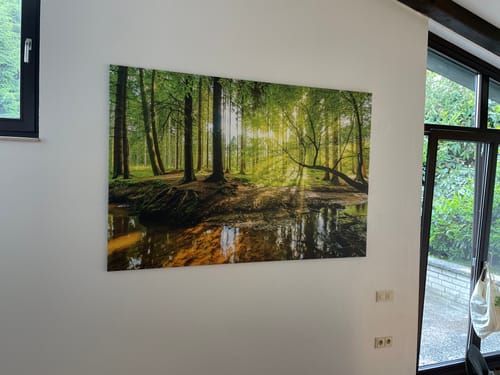 Customer photo review of Leinwandbild | Wald mit Sonnenstrahlen | Querformat