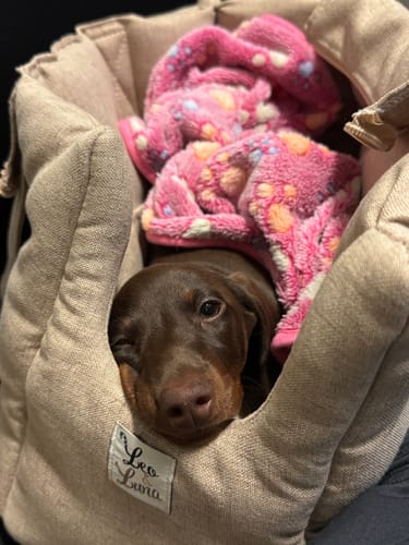 Customer photo review of Borsa Mattias Beige (Soft Touch)