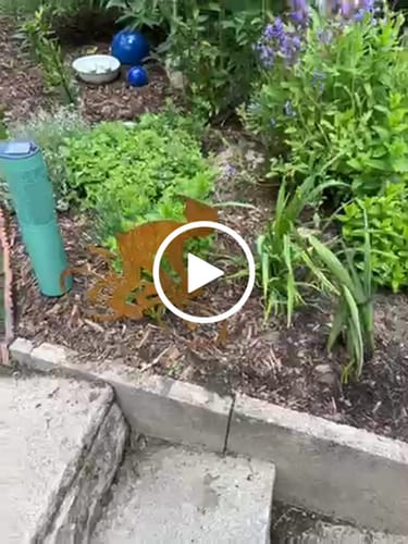 Customer video review of Gartenstecker Radfahrer