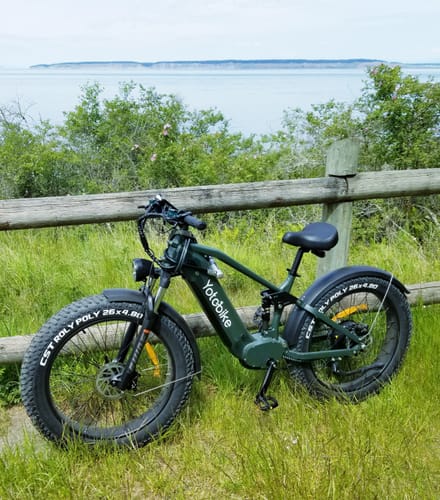 Customer photo review of Yoto Leopard Pro+ Fat Tire Full Suspension Ebike - New Upgrade