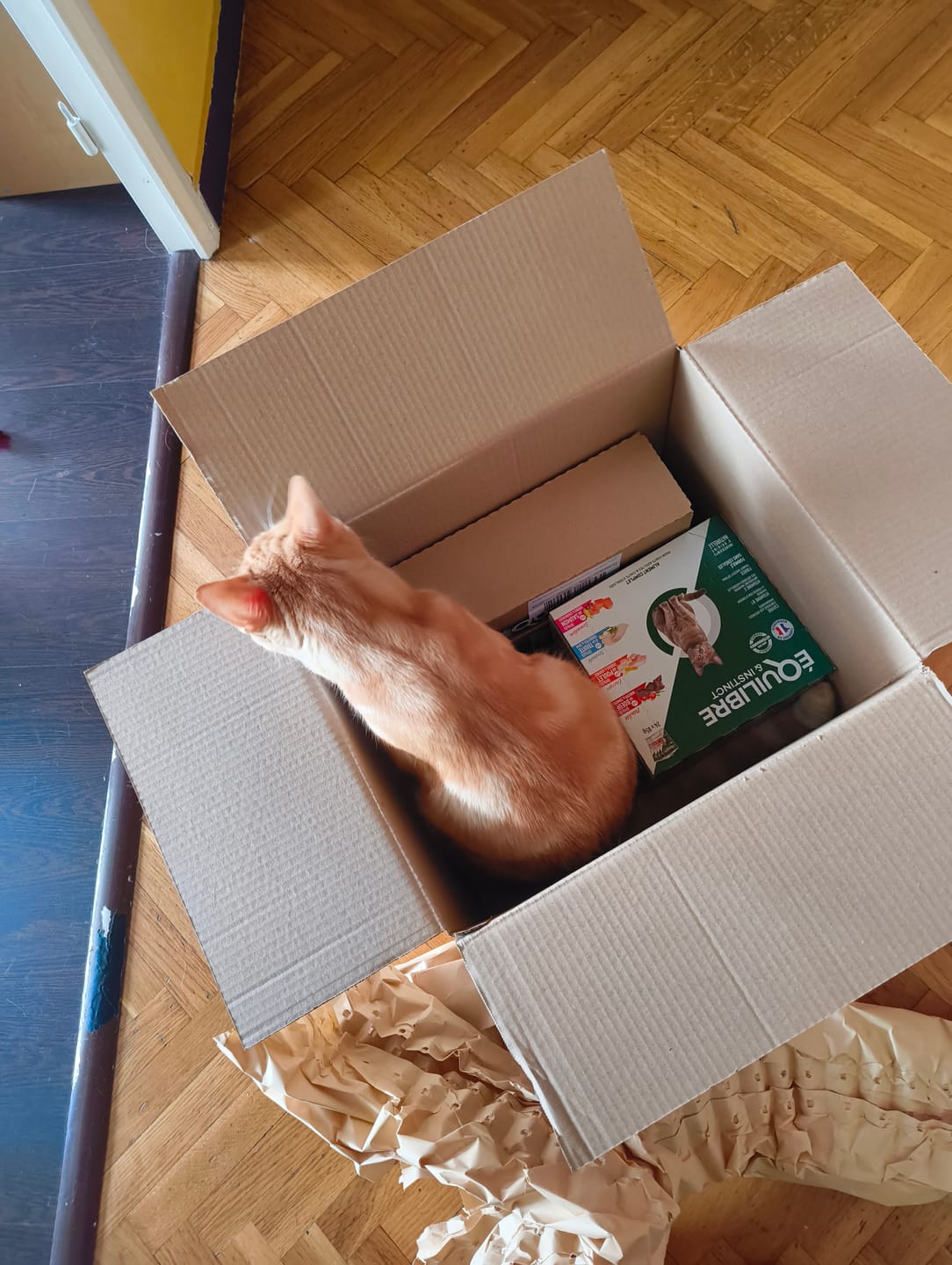 Customer photo review of Croquettes riches en poissons blancs frais (chat stérilisé)